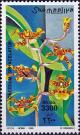 Colnect-4383-055-Oncidium-sphacelatum.jpg