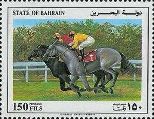 Colnect-1553-506-Black-Horse-Grey-Horse.jpg