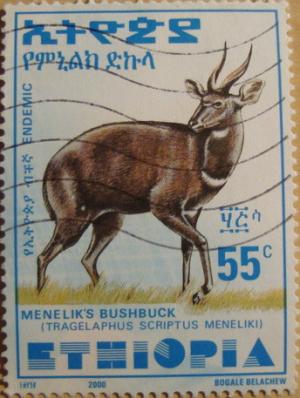 Colnect-3338-001-Menelik--s-Bushbuck-Tragelaphus-scriptus-meneliki.jpg