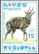 Colnect-3551-145-Menelik--s-Bushbuck-Tragelaphus-scriptus-meneliki.jpg