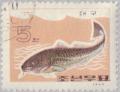 Colnect-2613-443-Pacific-Cod-Gadus-macrocephalus.jpg
