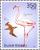 Colnect-3967-941-Brown-Booby-Sula-leucogaster-American-Flamingo-Phoenicop.jpg