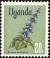 Colnect-4257-202-Indian-Coleus-Coleus-barbatus.jpg