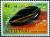 Colnect-5810-857-Mole-Cowrie-Cypraea-talpa.jpg