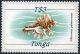 Colnect-4501-359-Chicoreus-palma-rosae.jpg