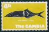 STS-Gambia-4-300dpi.jpg-crop-556x365at1134-1823.jpg