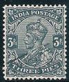 STS-India-2-300dpi.jpg-crop-262x313at42-2475.jpg
