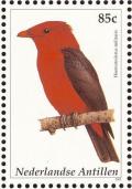 Colnect-965-451-Crimson-Fruitcrow%C2%A0Haematoderus-militaris.jpg
