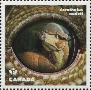 Colnect-5190-885-Acrotholus-audeti.jpg