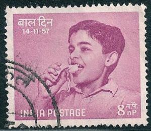 STS-India-6-300dpi.jpg-crop-419x364at894-2852.jpg