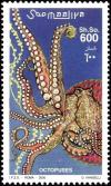 Colnect-6050-137-Common-octopus-Octopus-vulgaris.jpg