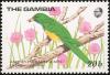 Colnect-1462-488-African-Emerald-Cuckoo-nbsp-Chrysococcyx-cupreus.jpg