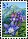 Colnect-901-511-Gentian-and-Mt-Kitadake-of-the-Southern-Japanese-Alps.jpg