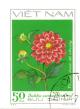Colnect-4823-877-Red-decorative-dahlias-Dahlia-variabilis-Desf.jpg
