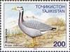 Colnect-1098-643-Bar-headed-goose-Anser-indicus.jpg