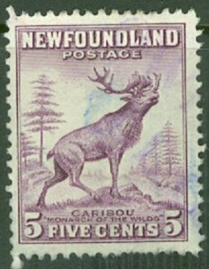 Colnect-6141-822-Red-Deer-Cervus-elaphus.jpg