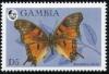 Colnect-2105-886-Forest-Admiral-Antanartia-delius.jpg