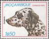 Colnect-1116-050-Dalmatian-Dog-Canis-lupus-familiaris.jpg