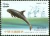 Colnect-1800-906-Risso-s-Dolphin-Grampus-griseus.jpg