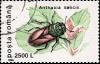 Colnect-3578-793-Pasture-Splendour-Beetle-Anthaxia-salicis.jpg