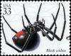 Colnect-6146-285-Black-Widow-Latrodectus-mactans.jpg