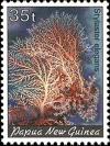 Colnect-1671-993-Elegant-Hydrocoral-Stylaster-elegans.jpg