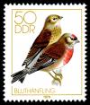 Stamps_of_Germany_%28DDR%29_1979%2C_MiNr_2393.jpg