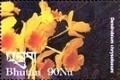 Colnect-3418-687-Dendrobium-chrysotoxum.jpg