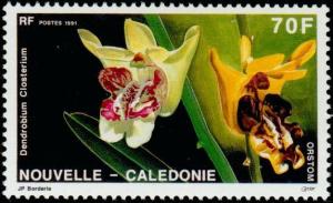Colnect-854-598-Dendrobium-closterium.jpg