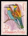 1895_Birds_200.jpg