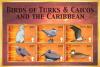 Colnect-1764-421-Birds-of-the-Caribbean.jpg