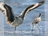 Colnect-5931-514-Birds-of-Sint-Maarten.jpg