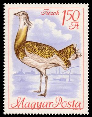 1894_Birds_150.jpg