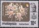 Colnect-5902-771-Durio-zibethinus.jpg