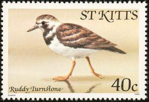 Colnect-1659-329-Ruddy-Turnstone-nbsp-.jpg