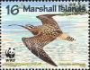 Colnect-1010-660-Bristle-thighed-Curlew-Numenius-tahitiensis.jpg