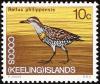 Colnect-1103-418-Buff-banded-Rail-Rallus-philippensis.jpg