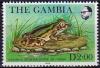 Colnect-1289-342-Senegal-Land-Frog-Kassina-senegalensis.jpg