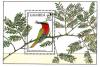 Colnect-1462-486-Red-throated-Bee-eater-Merops-bullocki.jpg