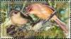 Colnect-1757-221-Cook-Islands-Reed-Warbler-Acrocephalus-kerearako.jpg