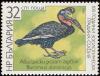 Colnect-1976-619-Abyssinean-Ground-Hornbill-Bucorvus-abyssinicus.jpg