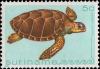 Colnect-2564-066-Loggerhead-Turtle-Caretta-caretta.jpg