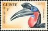 Colnect-2809-891-Abyssinian-Ground-Hornbill-Bucorvus-abyssinicus.jpg