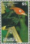 Colnect-3277-649-Red-capped-Manakin-Pipra-mentalis-.jpg