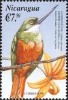 Colnect-3803-026-Rufous-tailed-Jacamar-Galbula-ruficauda.jpg