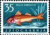 Colnect-4504-136-Striped-Red-Mullet-Mullus-surmuletus.jpg