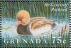 Colnect-4569-529-Red-crested-Pochard----Netta-rufina.jpg
