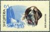 Colnect-5862-210-Saint-Bernard-Dog-Canis-lupus-familiaris.jpg