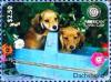 Colnect-5942-622-Dachshund-Canis-lupus-familiaris.jpg