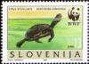 Colnect-688-870-European-pond-tortoise-Emys-orbicularis.jpg
